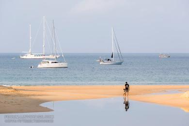 Sandee - Nai Harn Beach