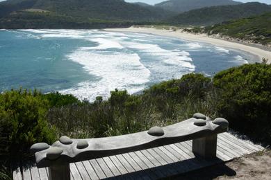 Sandee Roaring Beach Photo