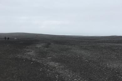 Sandee Solheimasandur Beach