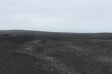 Sandee Solheimasandur Beach Photo