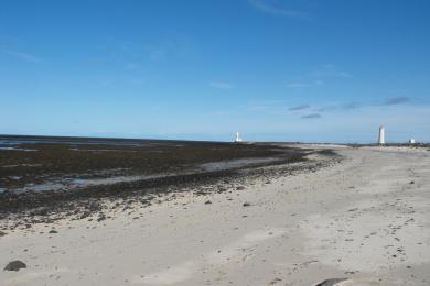 Sandee Gardur Beach Photo