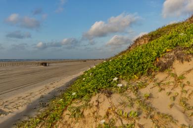 Sandee Port Aransas Park Photo