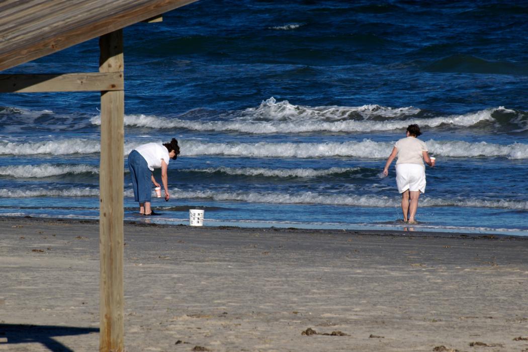 Sandee Padre Island National Seashore Photo