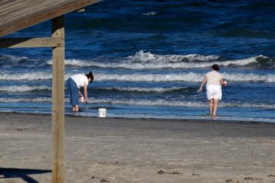 Sandee Padre Island National Seashore