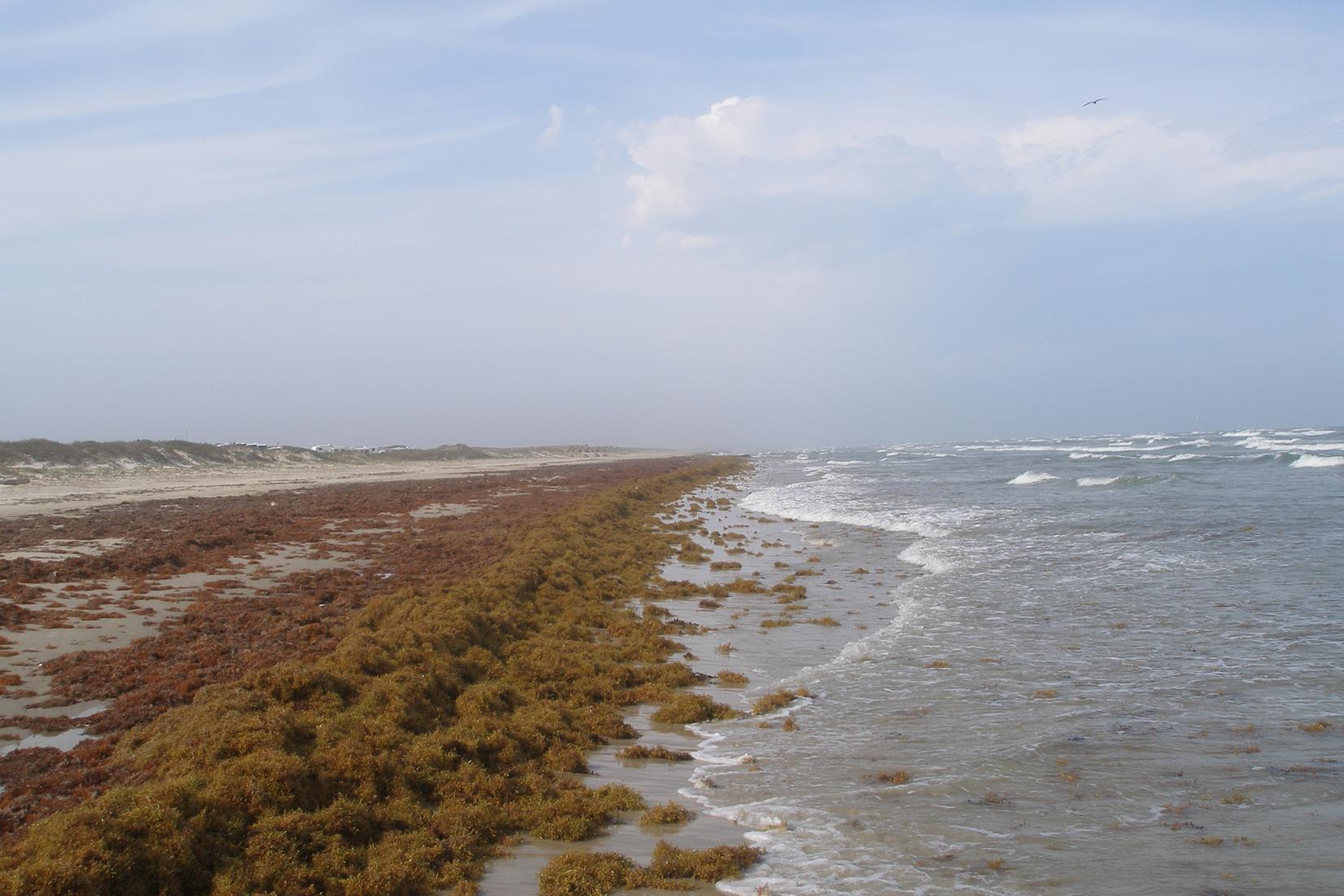 Sandee - Padre Island National Seashore