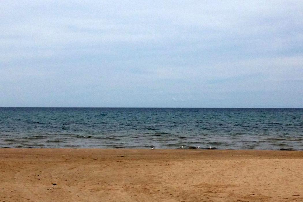 Sandee Harrington State Park Beach South