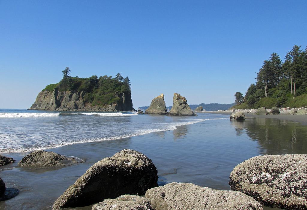 Sandee Ruby Beach, Olympic National Park Photo