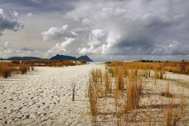 Sandee - Ruakaka Beach