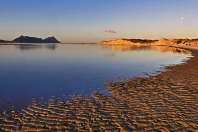 Sandee - Ruakaka Beach