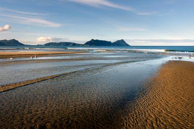 Sandee - Ruakaka Beach