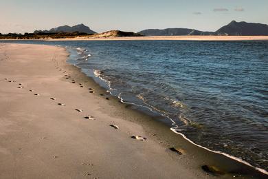 Sandee - Ruakaka Beach