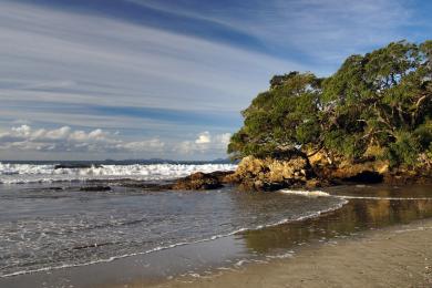 Sandee - Waipu Cove