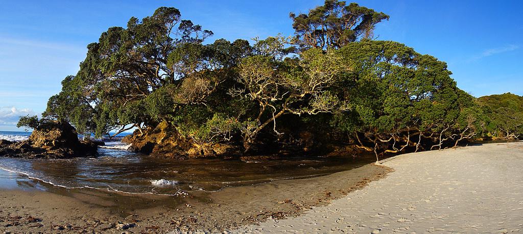 Sandee - Waipu Cove