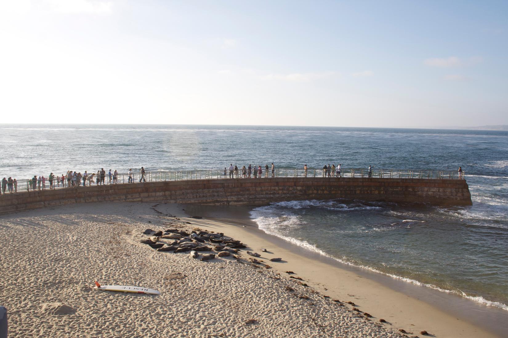 Sandee - Children's Pool Beach