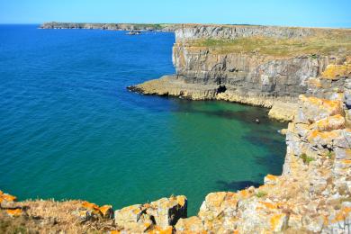 Sandee - Barafundle Bay Beach