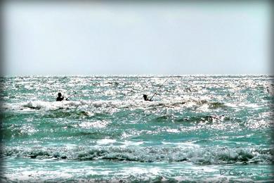 Sandee Matagorda Beach Photo