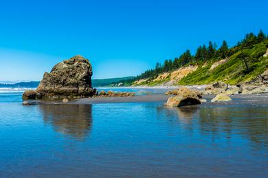 Sandee - Beach 1, Olympic National Park