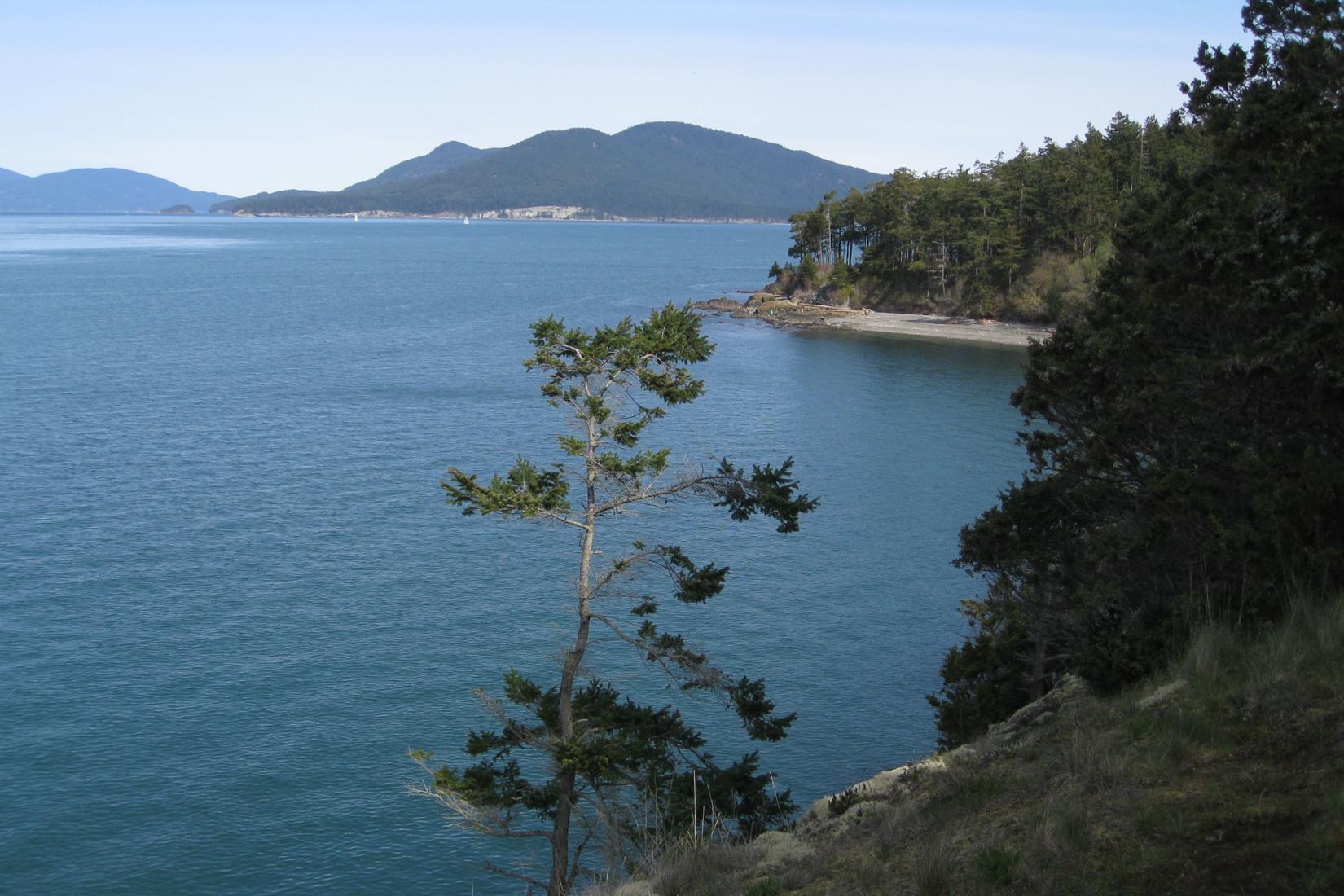 Cypress Island Photo - Sandee