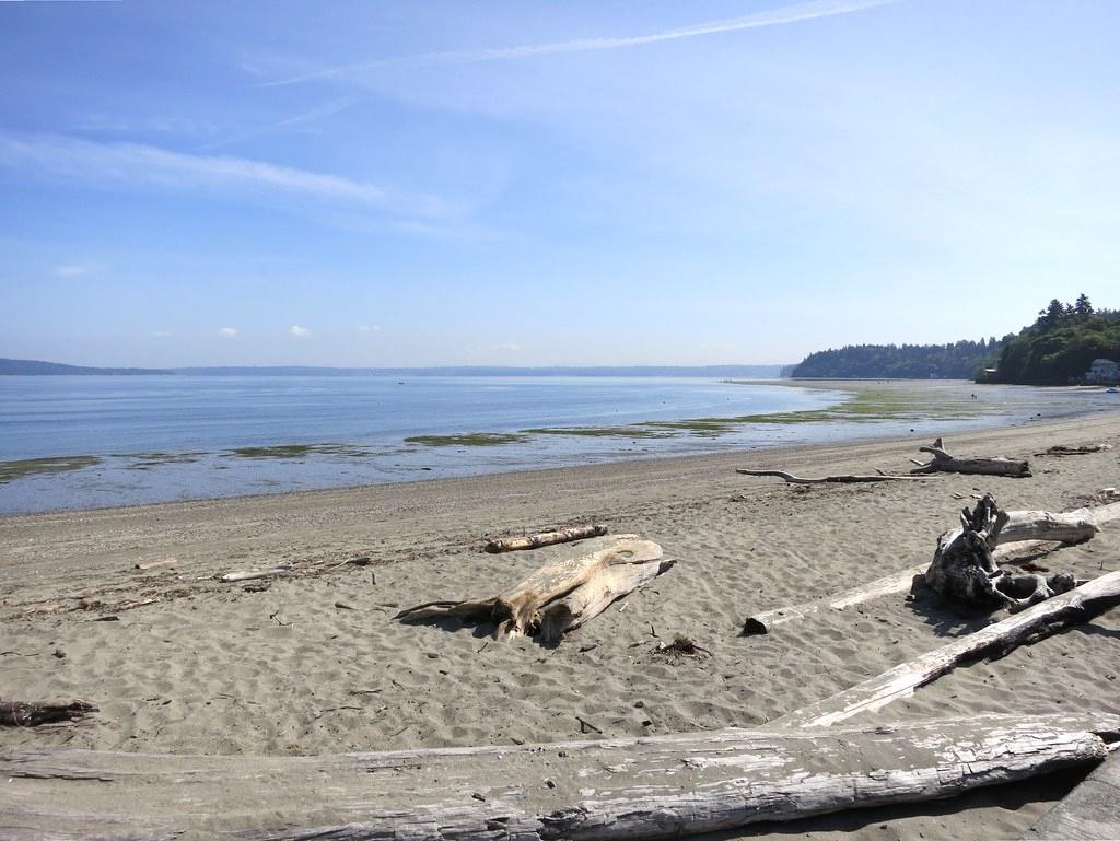 Sandee - Dash Point State Park