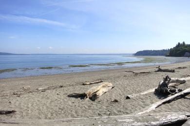 Sandee - Dash Point State Park