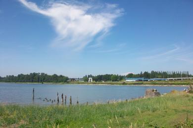 Sandee Donald Montfort Park