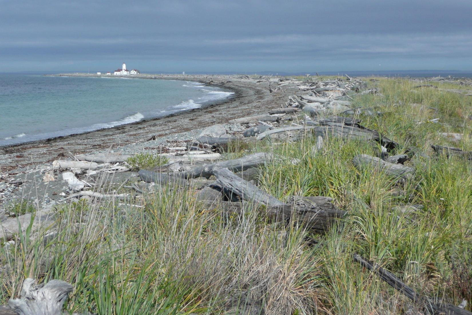 Sandee - Dungeness National Wildlife Refuge