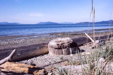 Sandee Fort Ebey State Park Photo