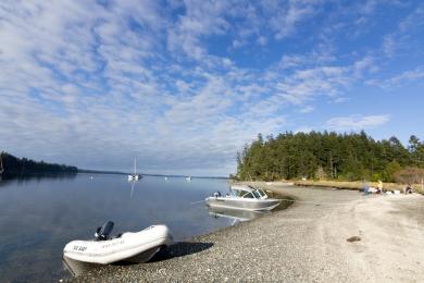 Sandee - Jarrell Cove State Park