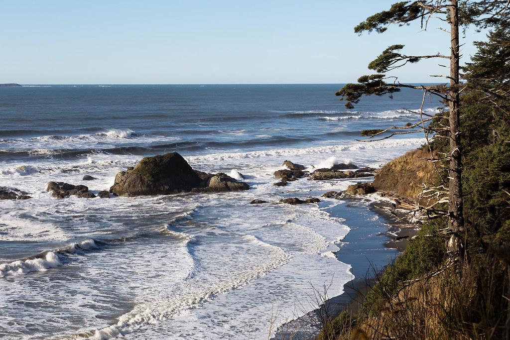 Sandee Kalaloch Beach & Campground, Olympic National Park