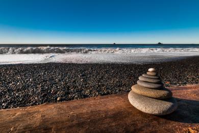 Sandee La Push Marina #1
