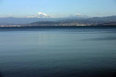 Sandee Lummi Island, Beach 220 Photo