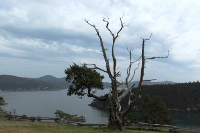 Sandee Lower Cap Sante Park