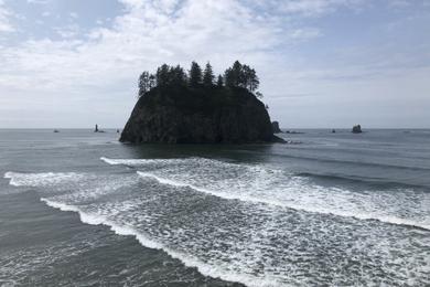 Sandee La Push Second Beach, Olympic National Park Photo