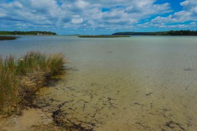 Sandee Jackson Harbor Ridges Photo