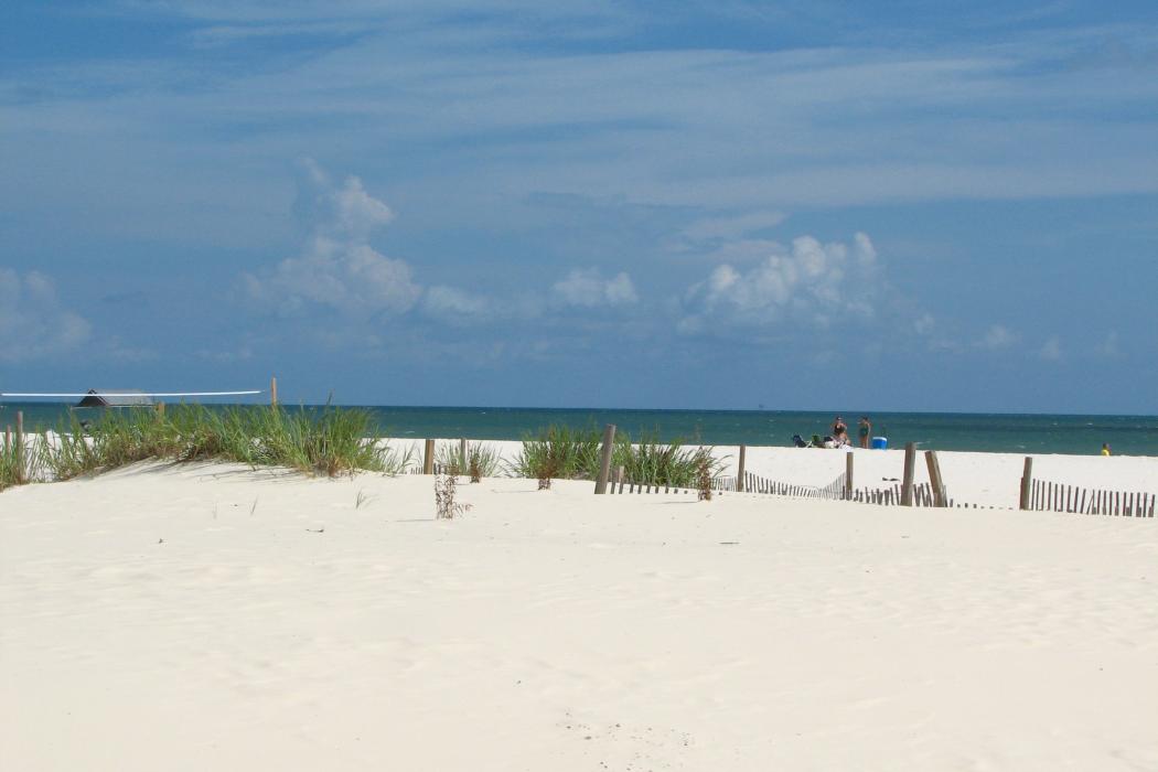 Sandee Fort Morgan Public Beach