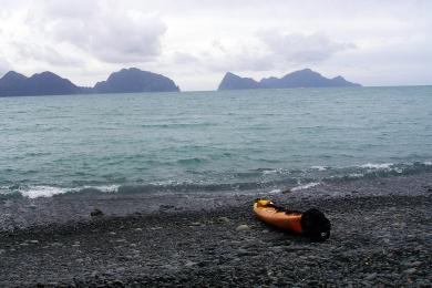 Sandee Kenai Beach North Photo