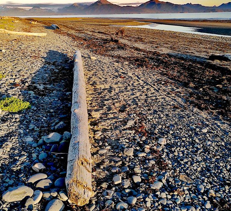 Sandee Bishop's Beach Photo