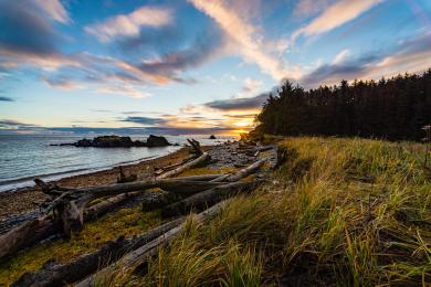 Sandee - Fort Abercrombie State Park Beach