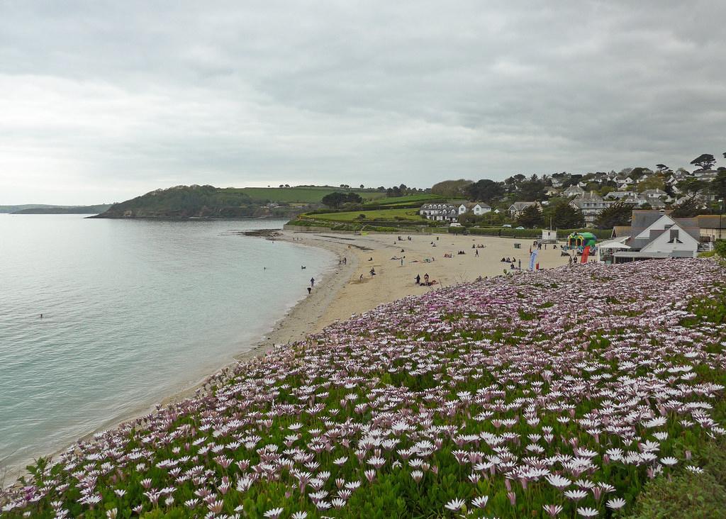 Sandee - Gyllyngvase Beach