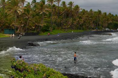 Sandee - Punalu'U Beach Park