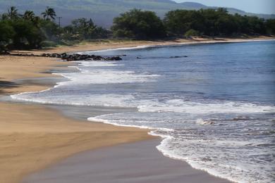 Sandee - Ma'Alaea Beach / Sugar Beach