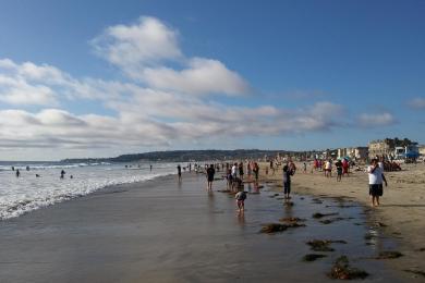 Sandee Mission Bay, Bahia Point