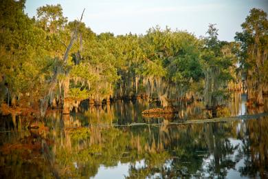 Sandee Lake Bistineau