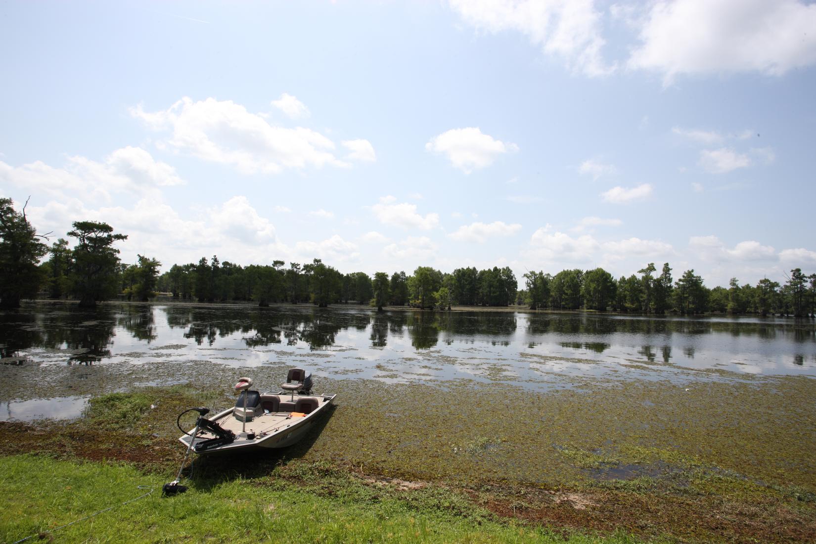 Noles Landing Photo - Sandee