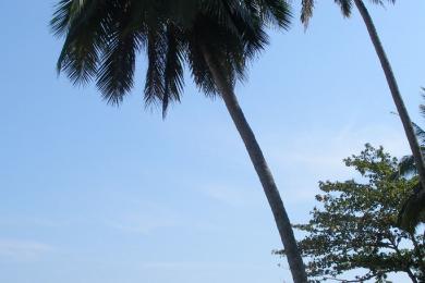 Sandee - Pa Sai Beach