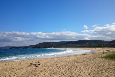 Sandee Putty Beach Photo