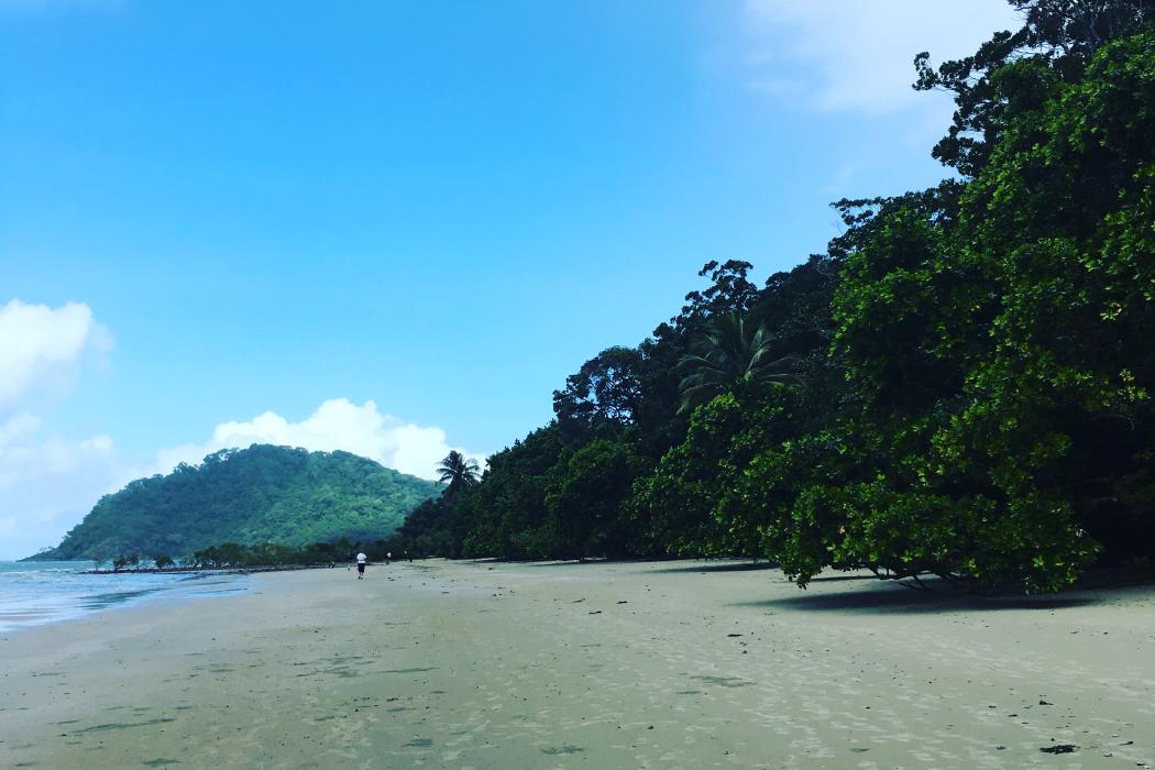 Sandee Cape Tribulation