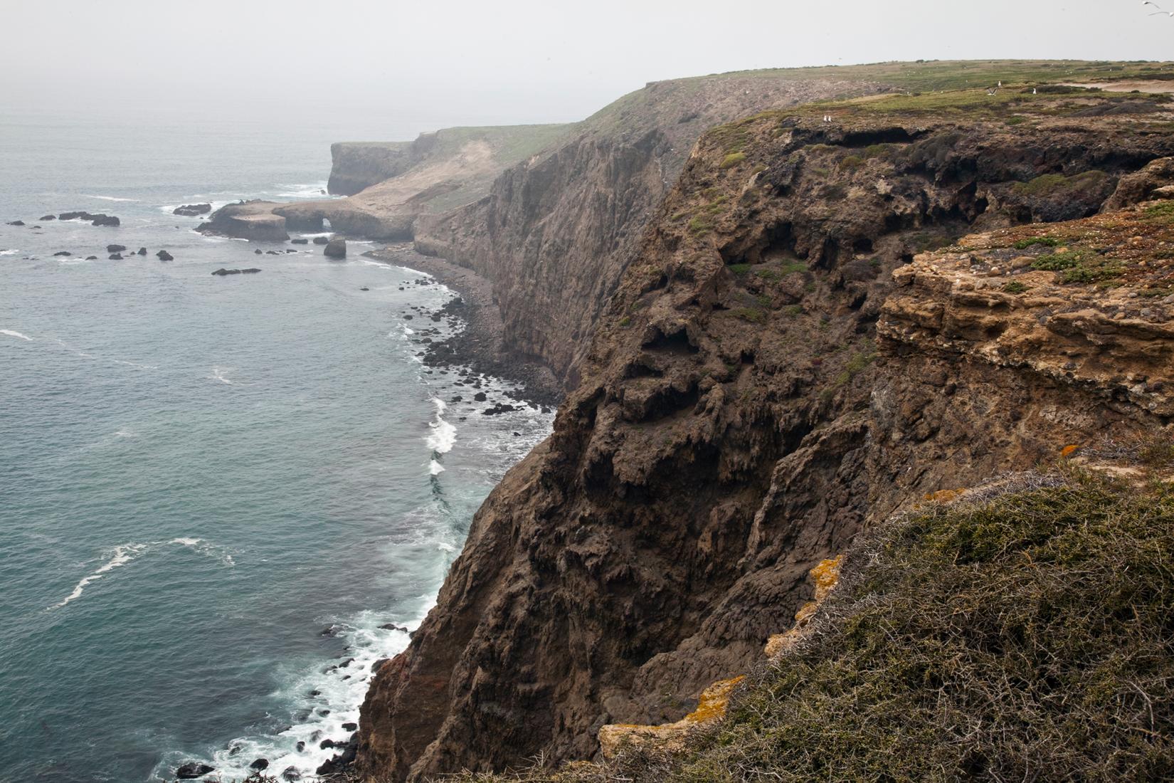 Sandee - Santa Barbara Island