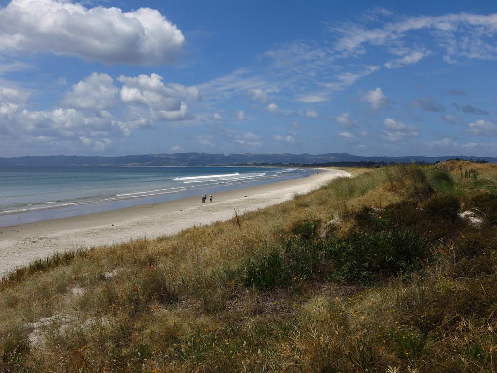 Sandee - Ruakaka Beach