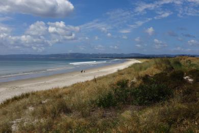 Sandee - Ruakaka Beach